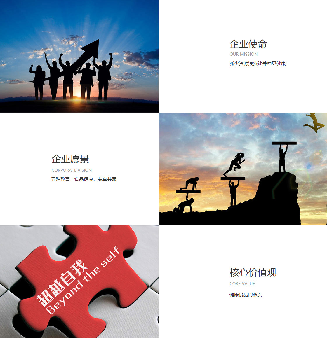 棋牌送88元彩金平台(图1)
